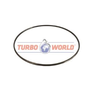 ANELLO CARTER/GEOMETRIA