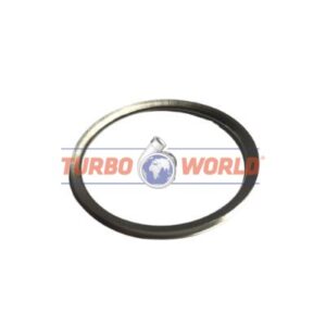 ANELLO CARTER/GEOMETRIA