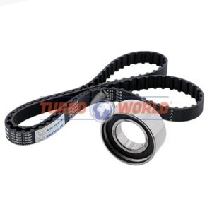 CINGHIA DENTATA - KIT