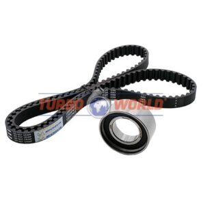 CINGHIA DENTATA - KIT