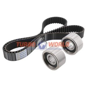 CINGHIA DENTATA - KIT