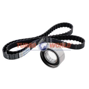 CINGHIA DENTATA - KIT