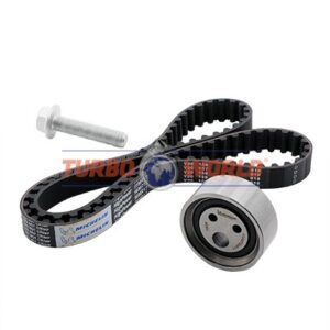 CINGHIA DENTATA - KIT