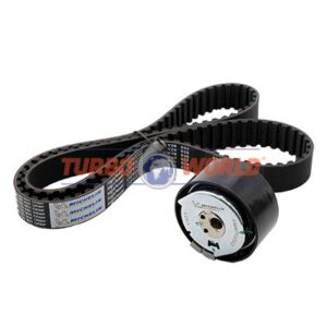 CINGHIA DENTATA - KIT