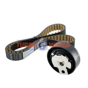 CINGHIA DENTATA - KIT