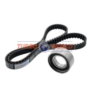 CINGHIA DENTATA - KIT