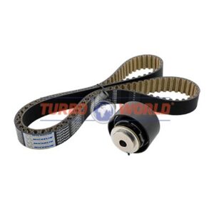 CINGHIA DENTATA - KIT