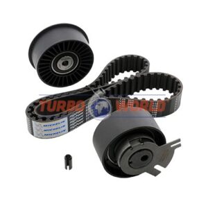 CINGHIA DENTATA - KIT