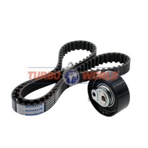 CINGHIA DENTATA - KIT