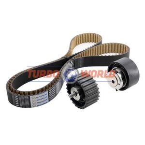 CINGHIA DENTATA - KIT