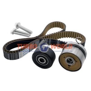 CINGHIA DENTATA - KIT