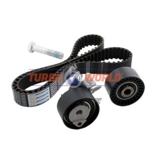 CINGHIA DENTATA - KIT