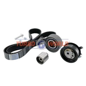 CINGHIA DENTATA - KIT