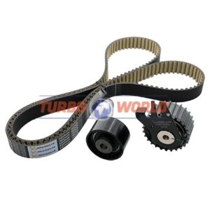 CINGHIA DENTATA - KIT