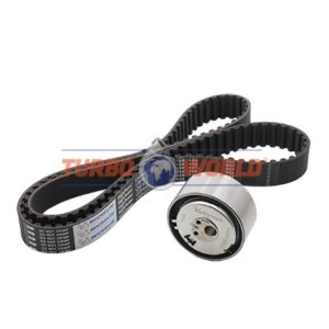 CINGHIA DENTATA - KIT