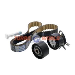 CINGHIA DENTATA - KIT