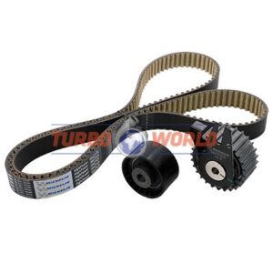 CINGHIA DENTATA - KIT