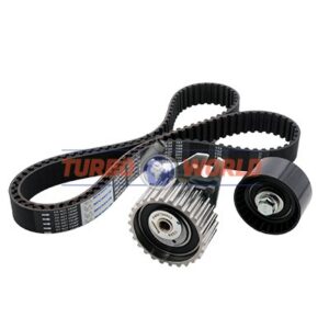 CINGHIA DENTATA - KIT