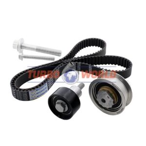 CINGHIA DENTATA - KIT