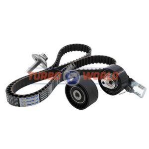 CINGHIA DENTATA - KIT