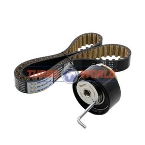 CINGHIA DENTATA - KIT