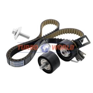 CINGHIA DENTATA - KIT