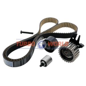 CINGHIA DENTATA - KIT