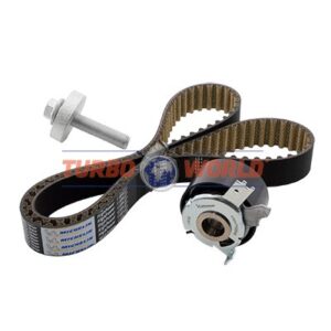 CINGHIA DENTATA - KIT