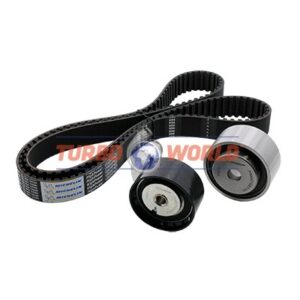 CINGHIA DENTATA - KIT