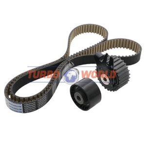 CINGHIA DENTATA - KIT