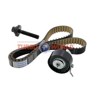 CINGHIA DENTATA - KIT