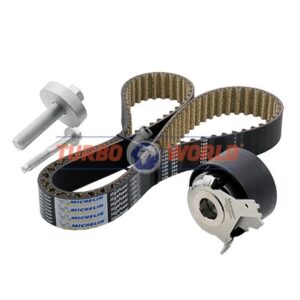 CINGHIA DENTATA - KIT