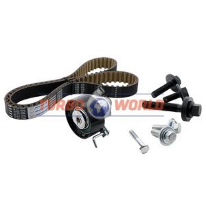 CINGHIA DENTATA - KIT