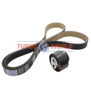 CINGHIA DENTATA - KIT