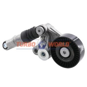 TENDICINGHIA CINGHIA SERVIZI