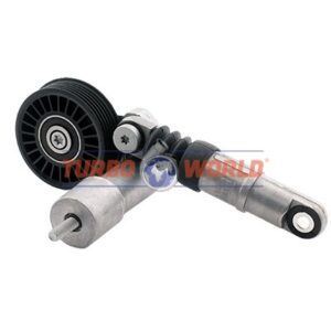 TENDICINGHIA CINGHIA SERVIZI