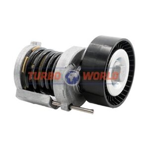 TENDICINGHIA CINGHIA SERVIZI