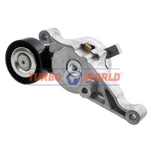 TENDICINGHIA CINGHIA SERVIZI