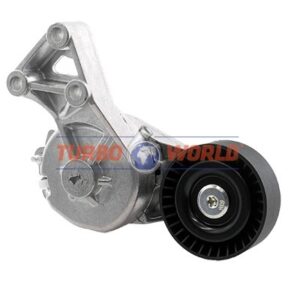 TENDICINGHIA CINGHIA SERVIZI