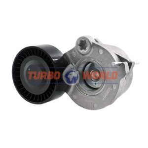 TENDICINGHIA CINGHIA SERVIZI