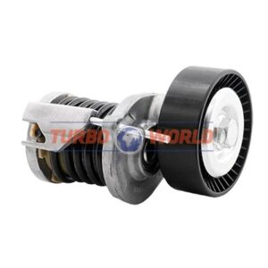 TENDICINGHIA CINGHIA SERVIZI