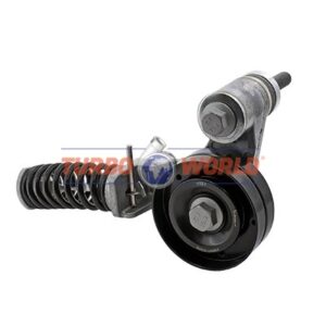 TENDICINGHIA CINGHIA SERVIZI