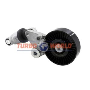 TENDICINGHIA CINGHIA SERVIZI