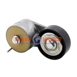 TENDICINGHIA CINGHIA SERVIZI