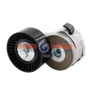 TENDICINGHIA CINGHIA SERVIZI