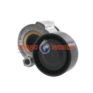 TENDICINGHIA CINGHIA SERVIZI