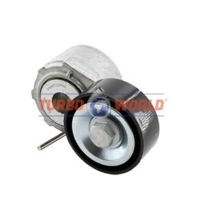 TENDICINGHIA CINGHIA SERVIZI