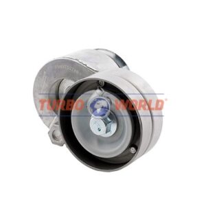 TENDICINGHIA CINGHIA SERVIZI