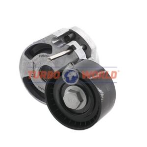 TENDICINGHIA CINGHIA SERVIZI