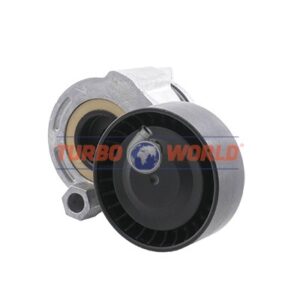 TENDICINGHIA CINGHIA SERVIZI